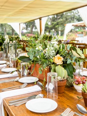 dt_creativeProf-AdobeStock_528588853-cropped2